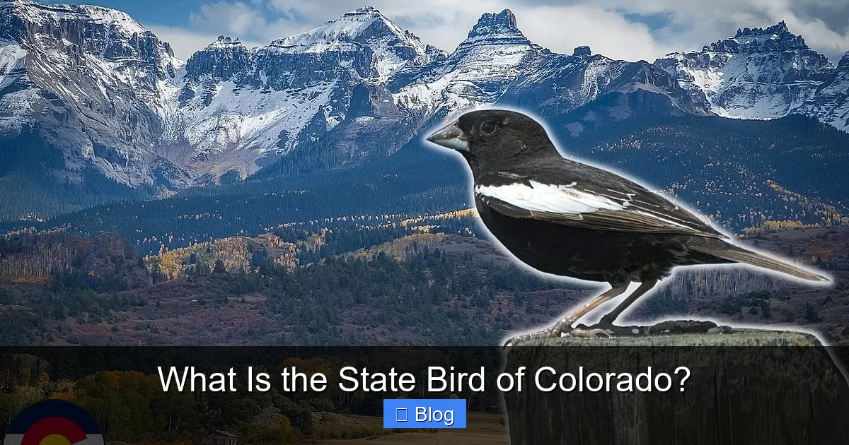What Is the State Bird of Colorado?