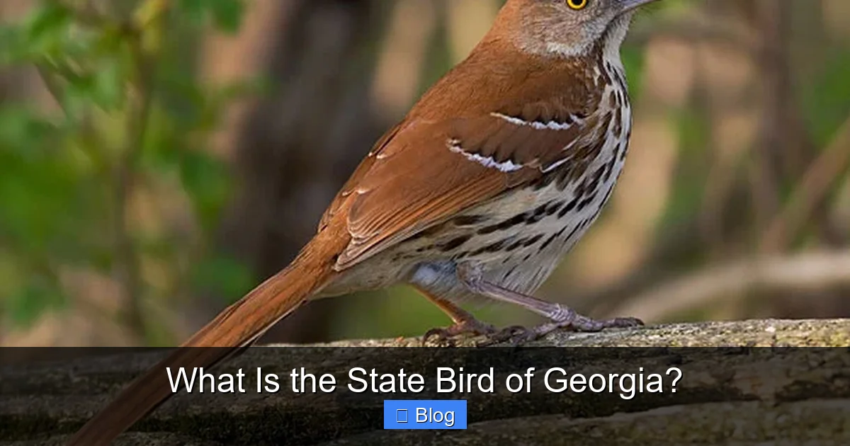 What Is the State Bird of Georgia?