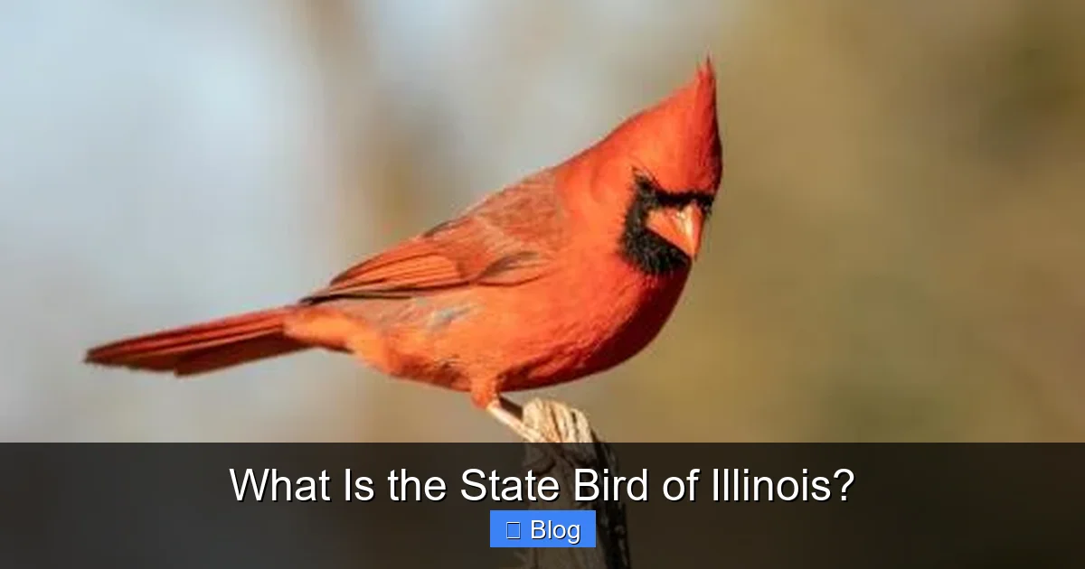 What Is the State Bird of Illinois?