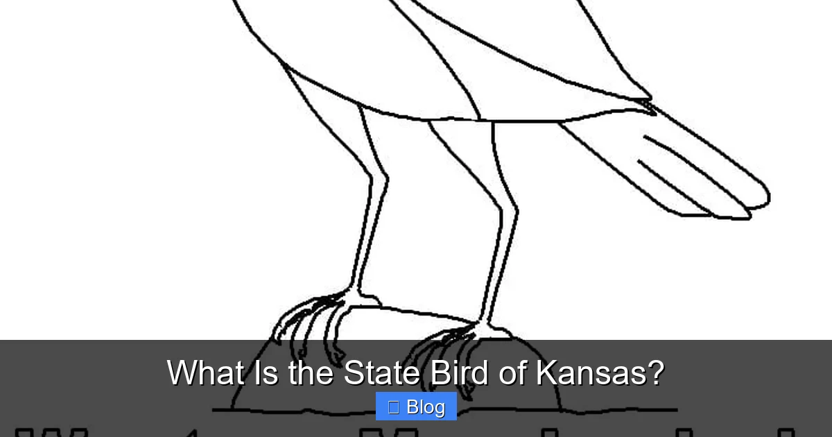 What Is the State Bird of Kansas?