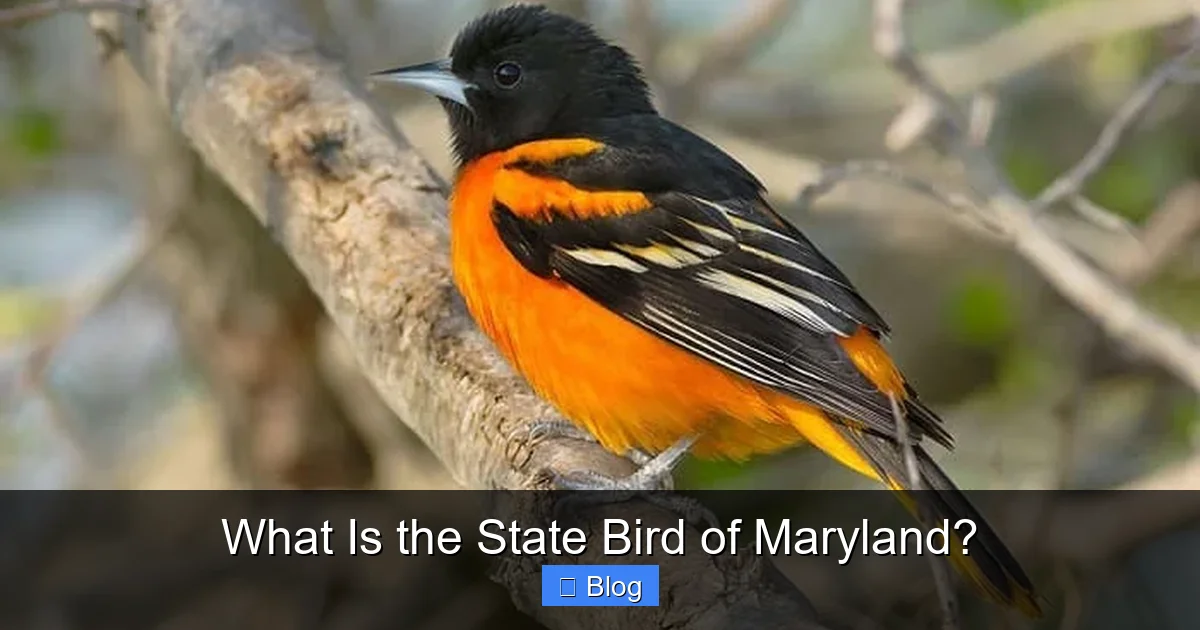 What Is the State Bird of Maryland?