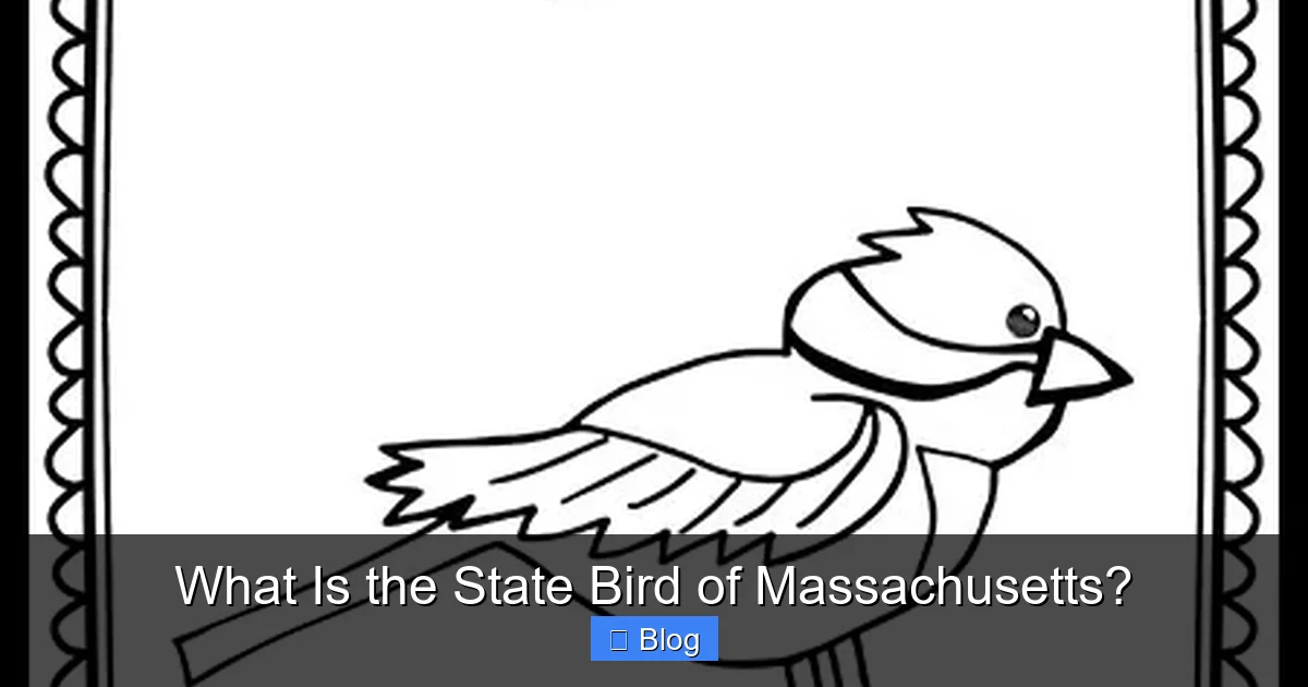 What Is the State Bird of Massachusetts?