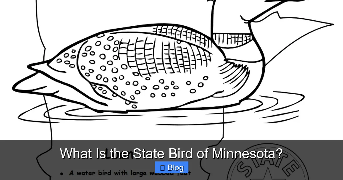 What Is the State Bird of Minnesota?