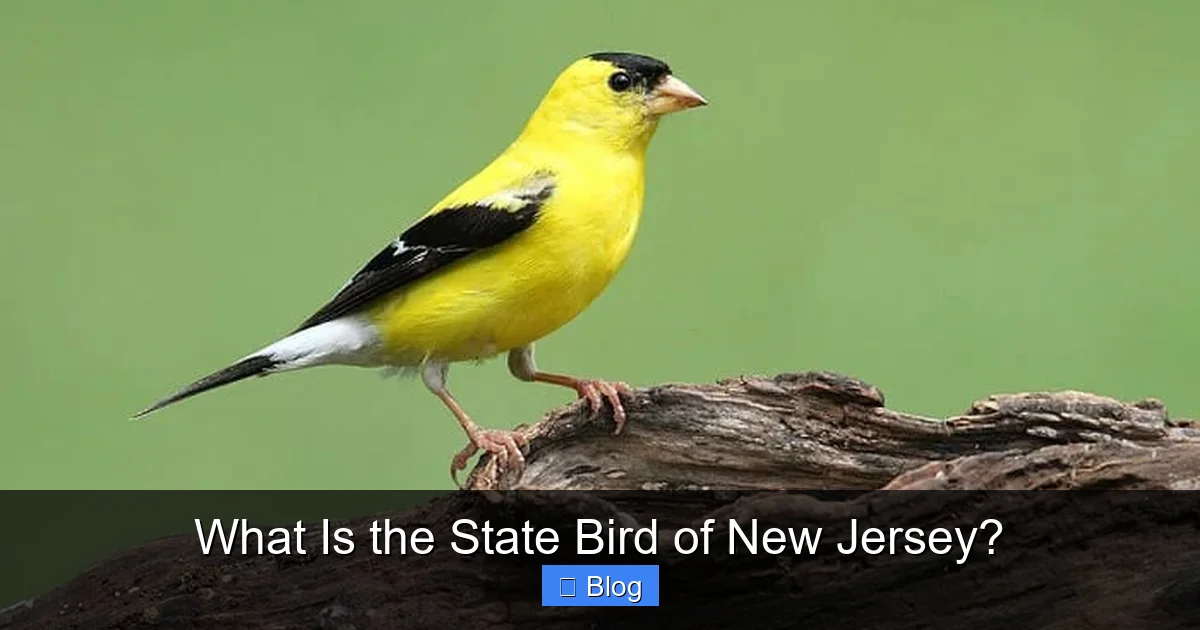 What Is the State Bird of New Jersey?