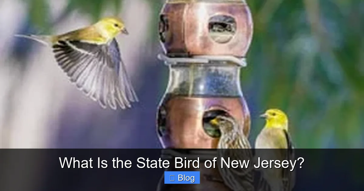 What Is the State Bird of New Jersey?