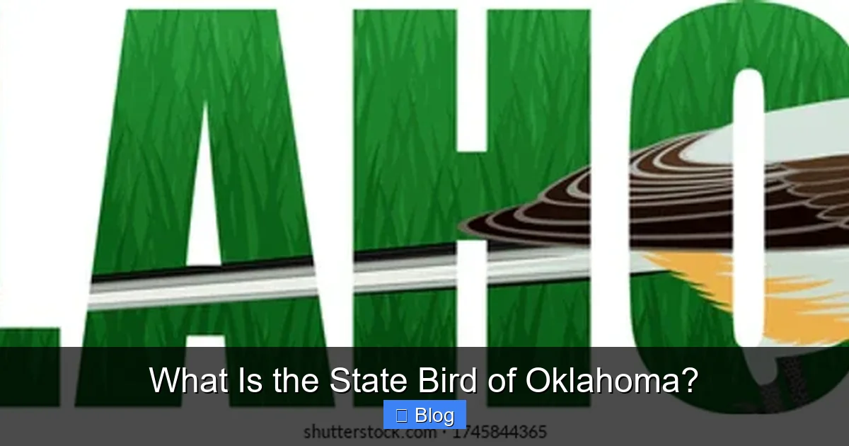 What Is the State Bird of Oklahoma?