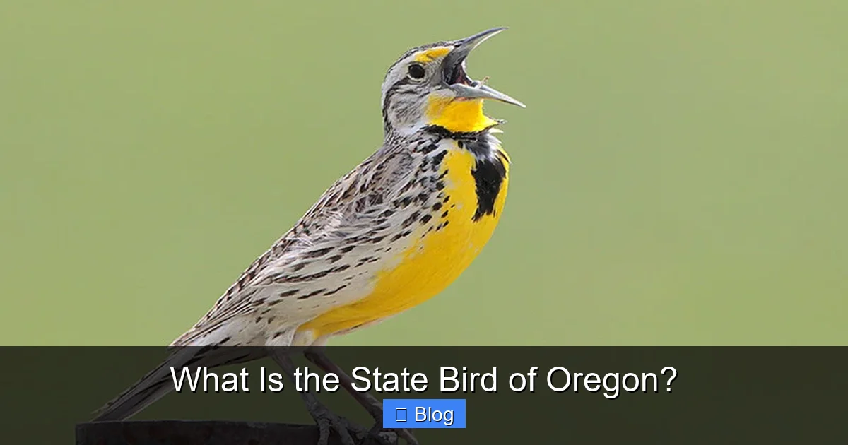 What Is the State Bird of Oregon?
