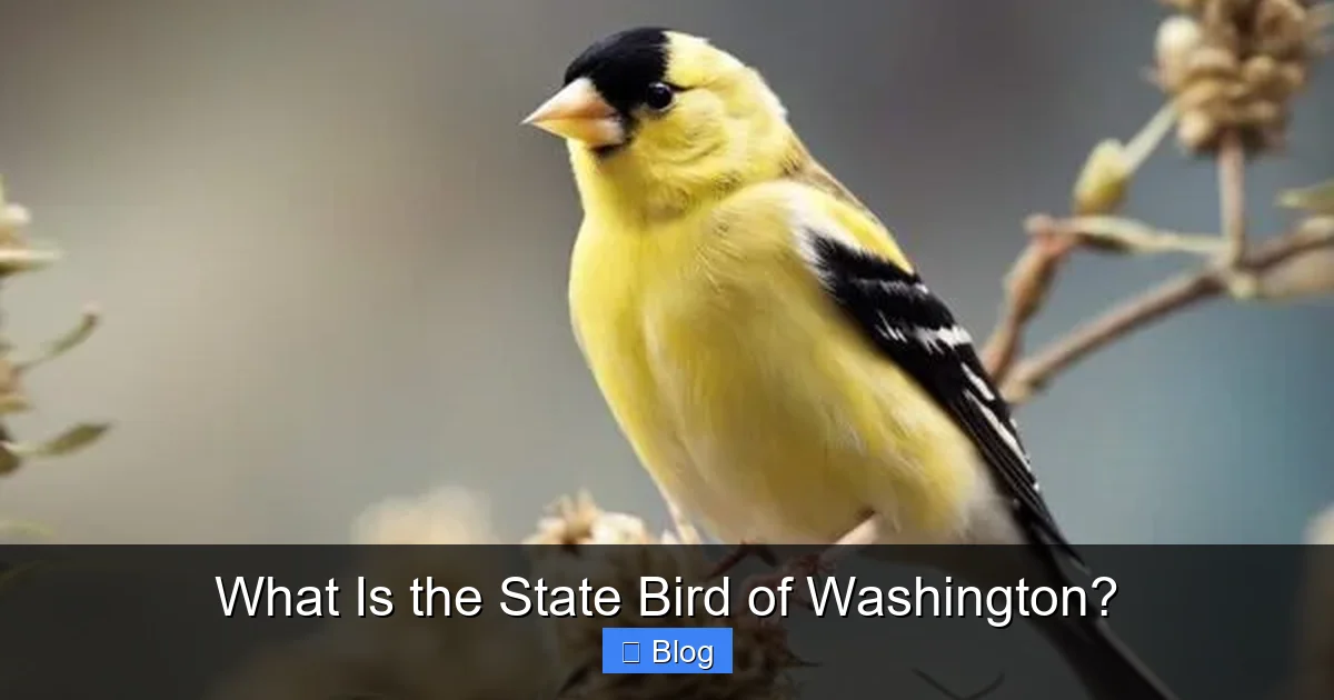 What Is the State Bird of Washington?
