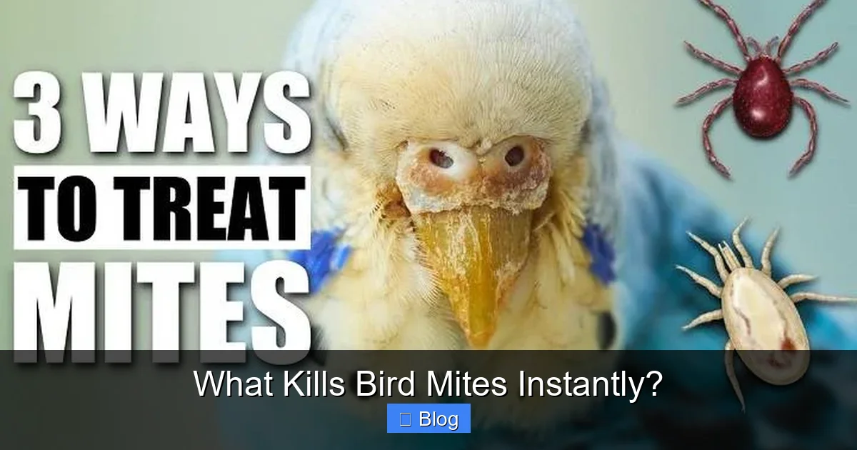 What Kills Bird Mites Instantly?