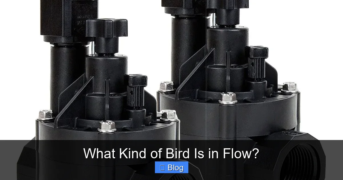 What Kind of Bird Is in Flow?