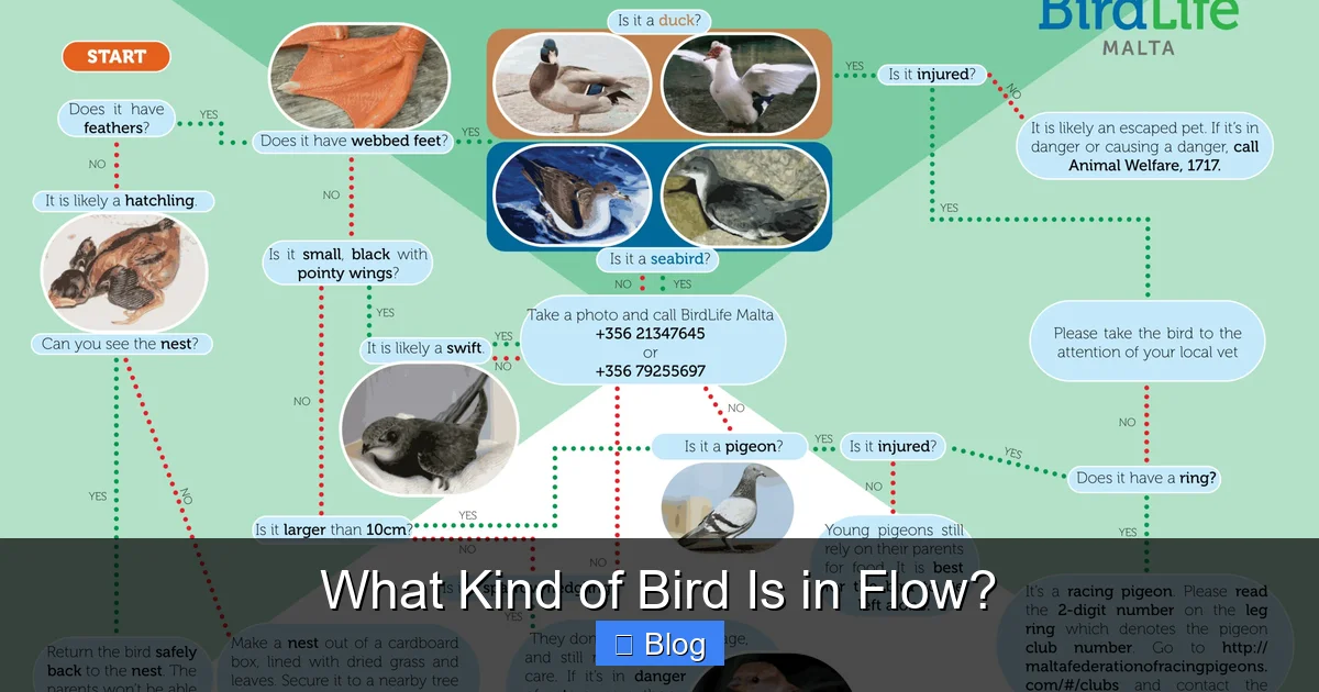 What Kind of Bird Is in Flow?