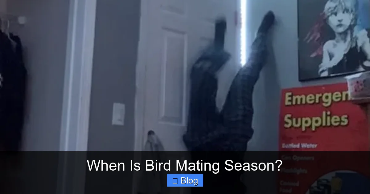 When Is Bird Mating Season?
