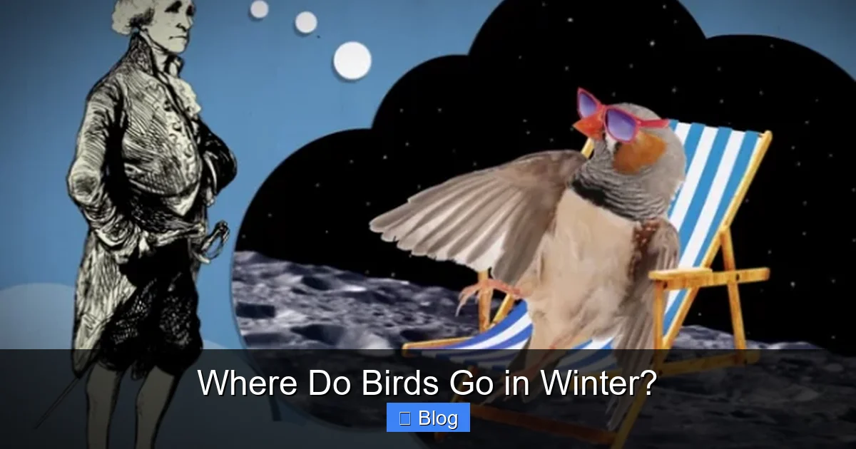Where Do Birds Go in Winter?
