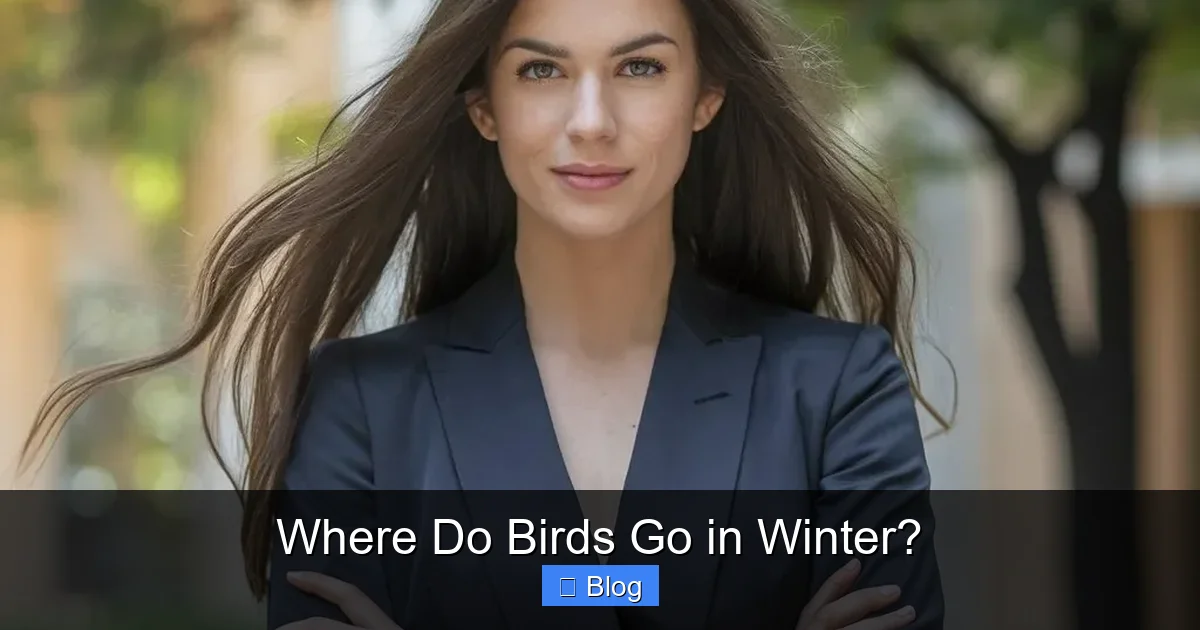 Where Do Birds Go in Winter?
