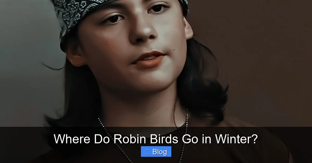 Where Do Robin Birds Go in Winter?