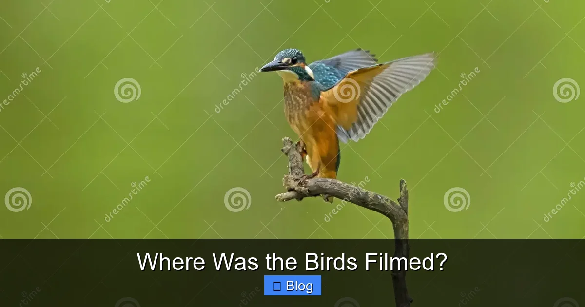 Where Was the Birds Filmed?