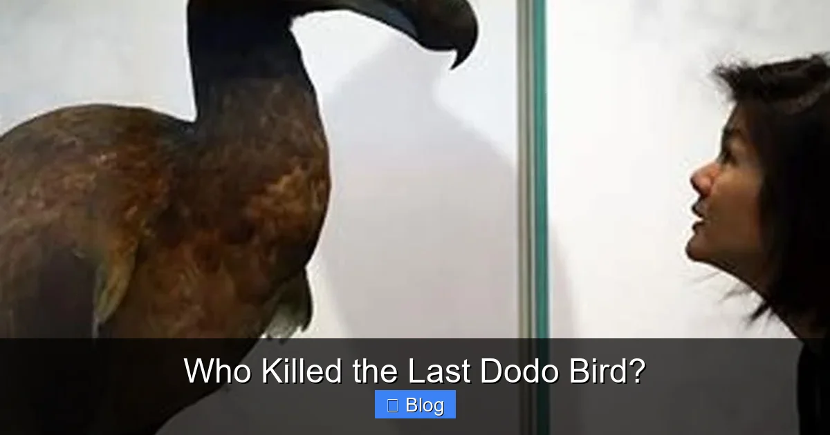 Who Killed the Last Dodo Bird?
