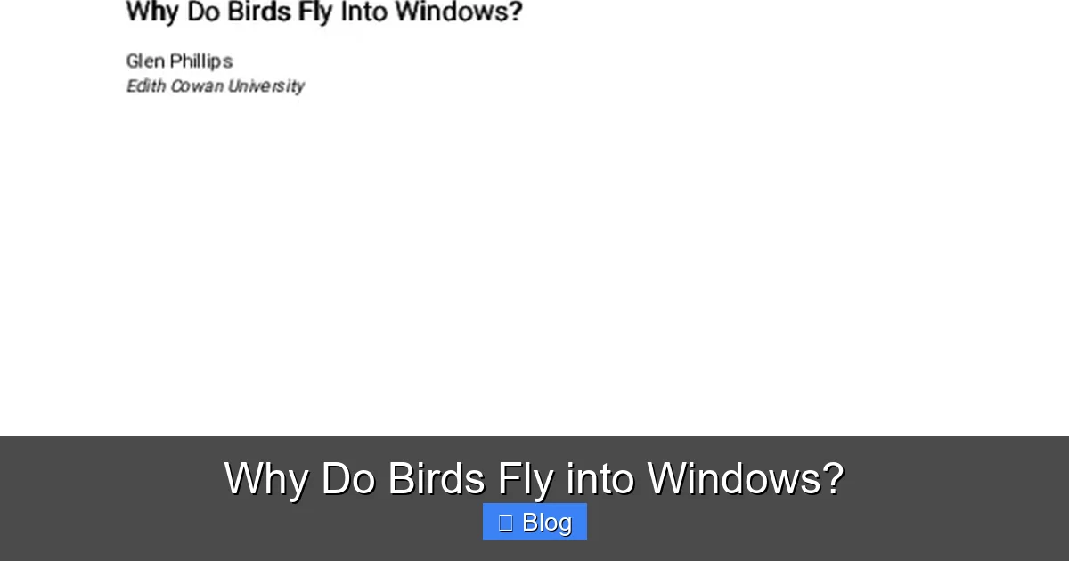 Why Do Birds Fly into Windows?