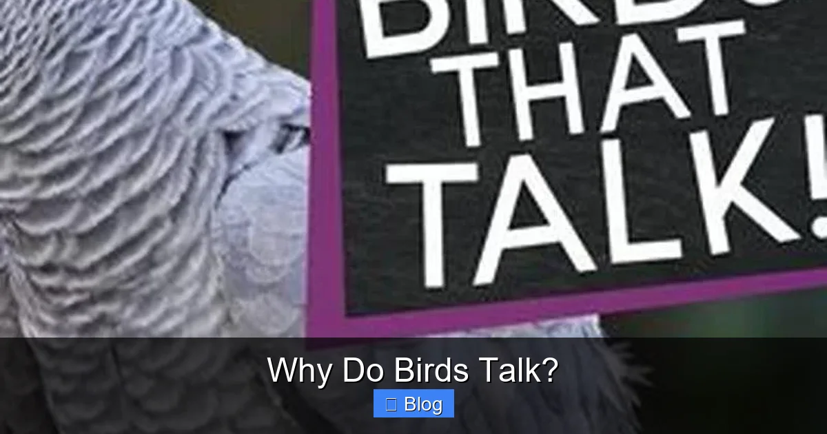 Why Do Birds Talk?