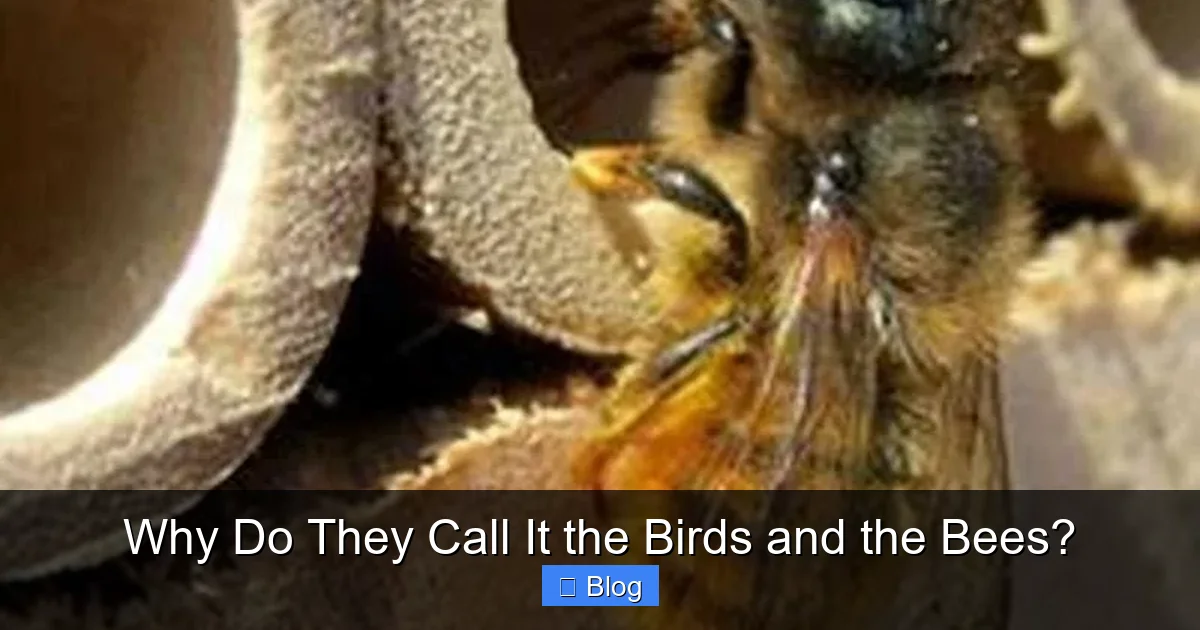 Why Do They Call It the Birds and the Bees?